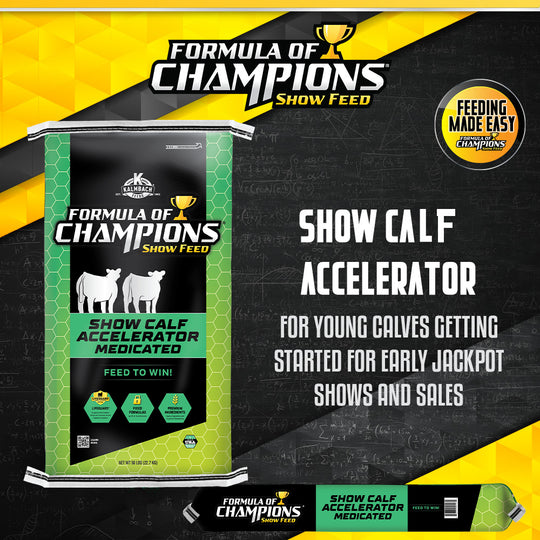Show Calf Accelerator Cattle Feed