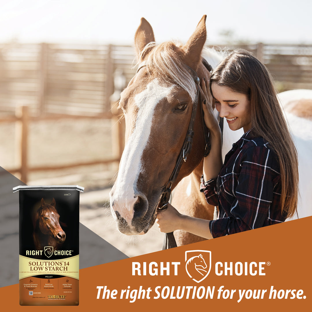 Solutions® 14 Low Starch