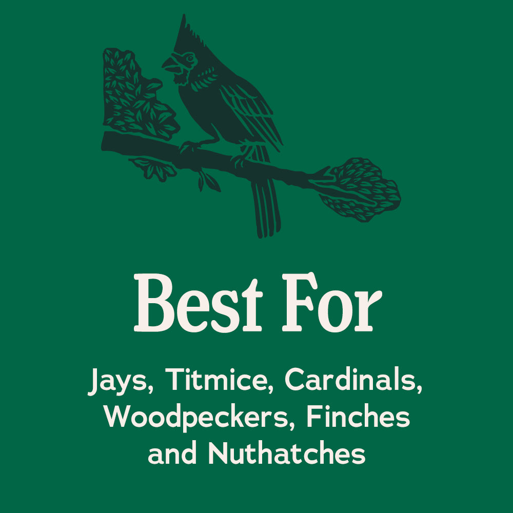 Songbird Reserve™ Fruit & Nut