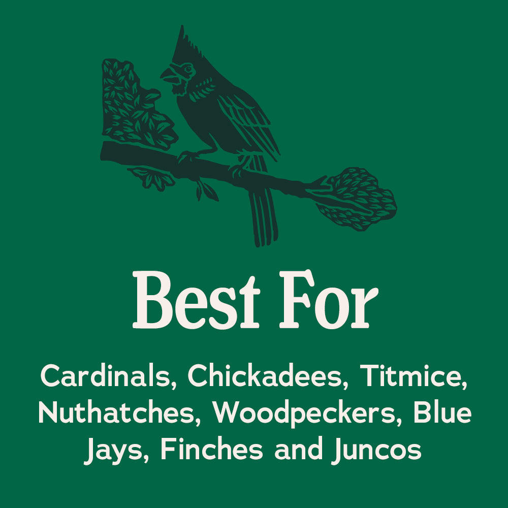 Songbird Reserve™ Shell Free No Mess – Kalmbach Feeds®