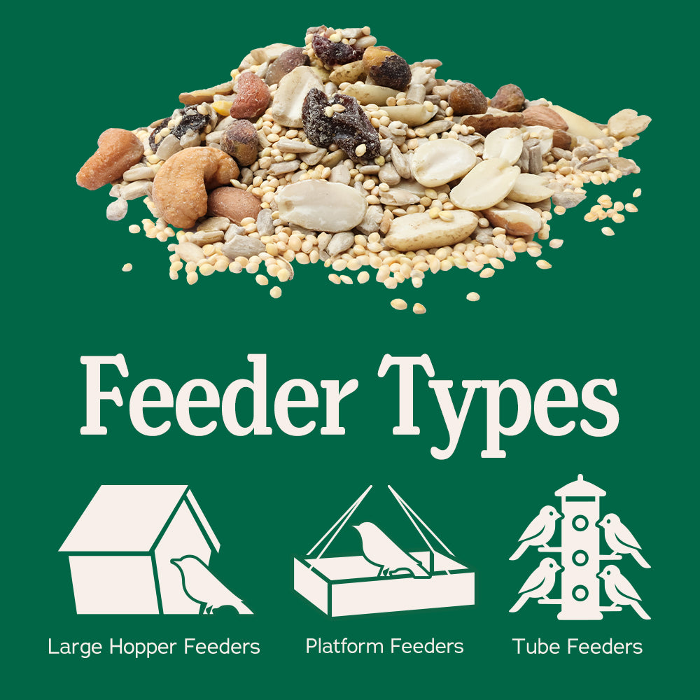 Songbird Reserve™ Shell Free No Mess – Kalmbach Feeds®