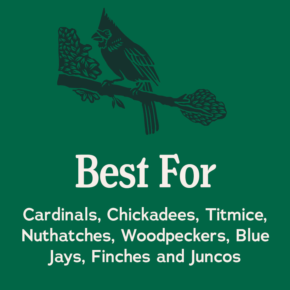 Songbird Reserve™ Songbird & Cardinal Blend