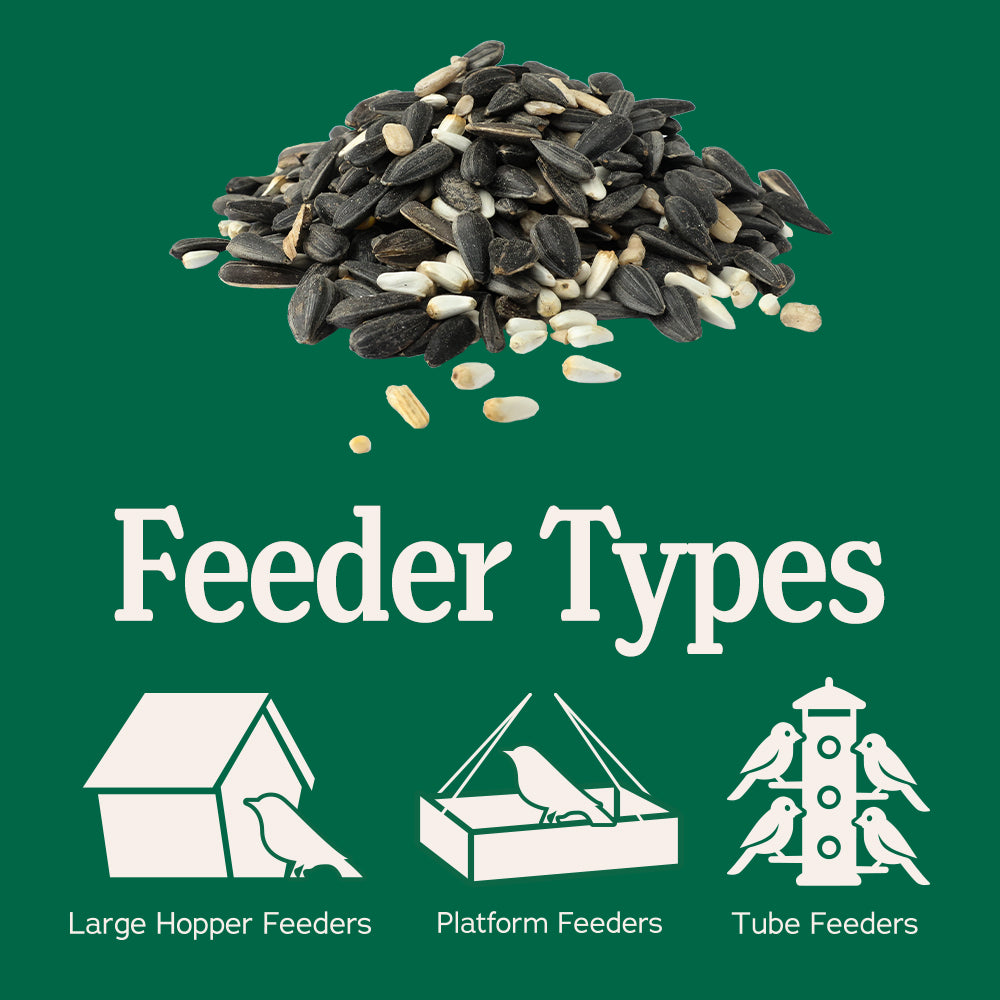 Songbird Reserve™ Songbird & Cardinal Blend