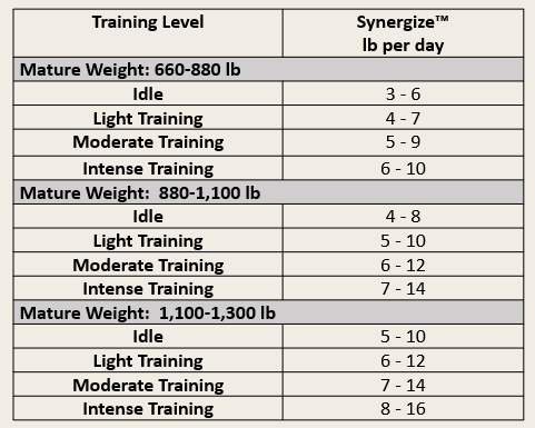 {"loading"=>"lazy", "alt"=>nil}