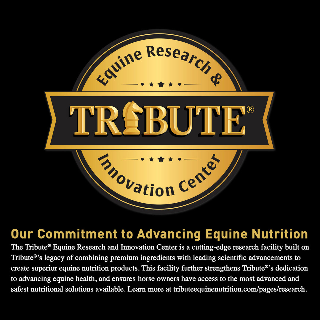 tribute commitment statement