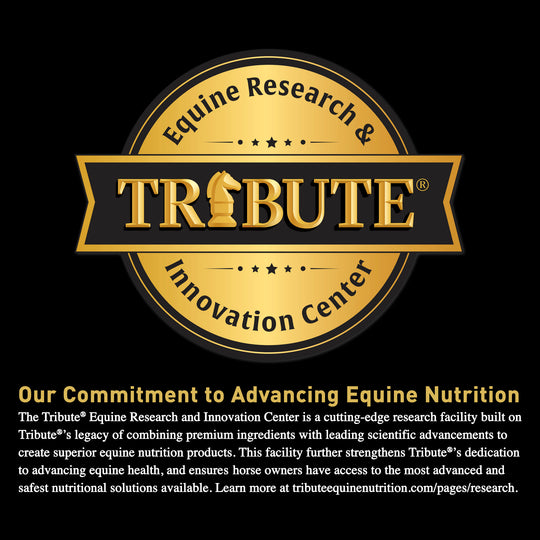 tribute commitment statement