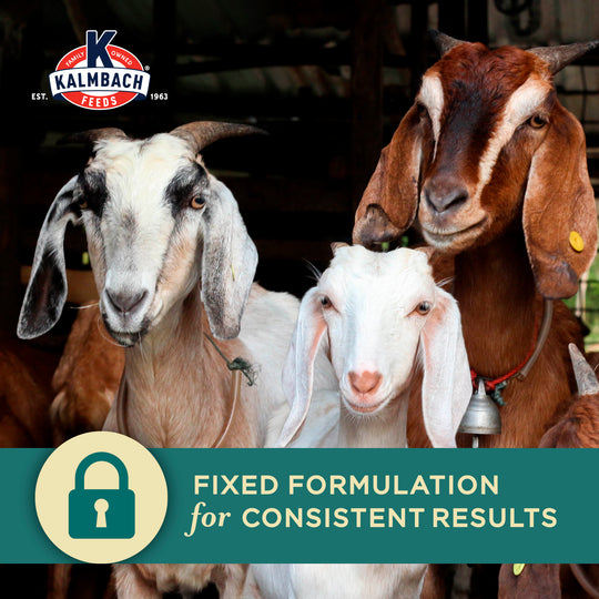 Three goats with a Kalmbach Feeds logo and text about fixed formulation for consistent results.