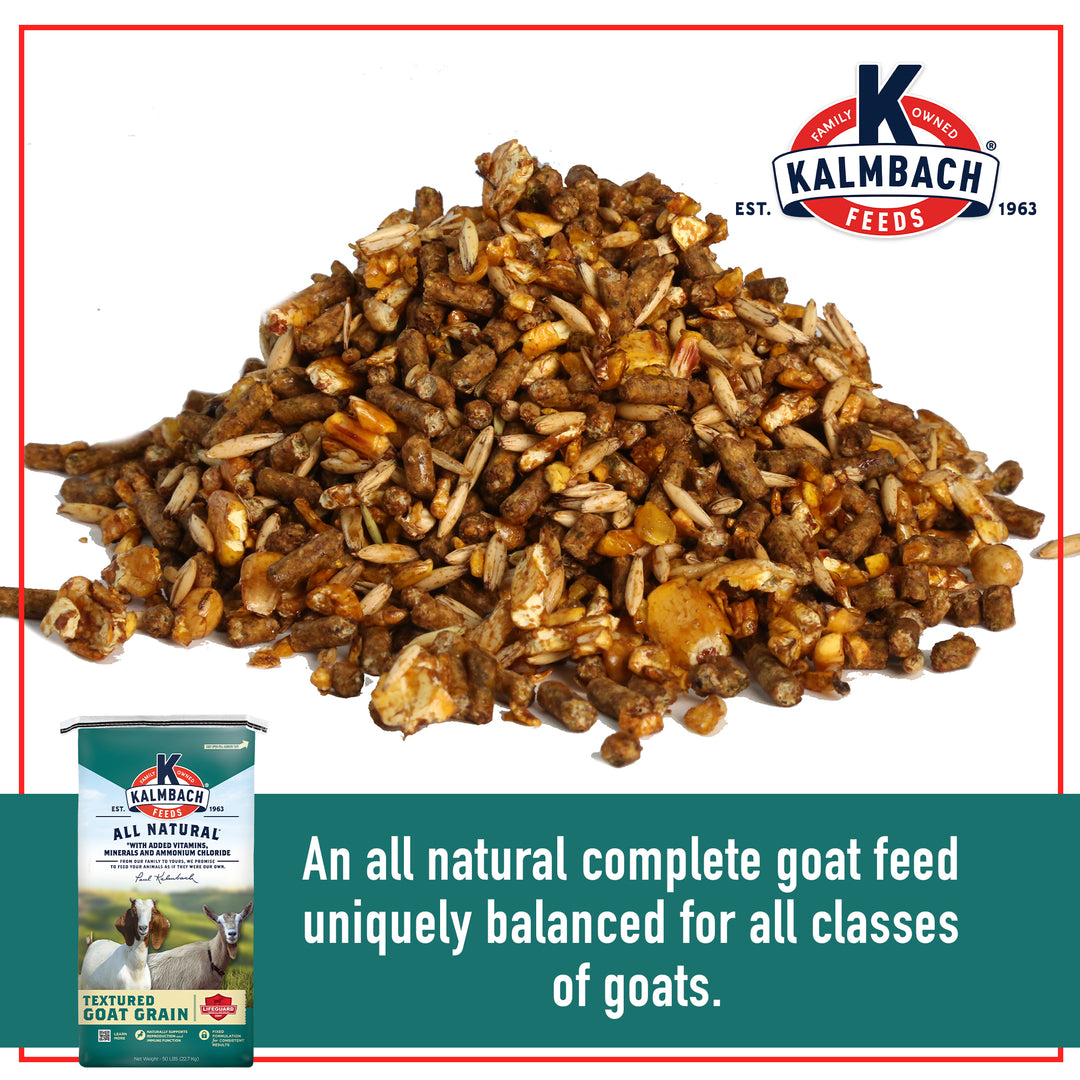 Textured Goat Grain feed with bag