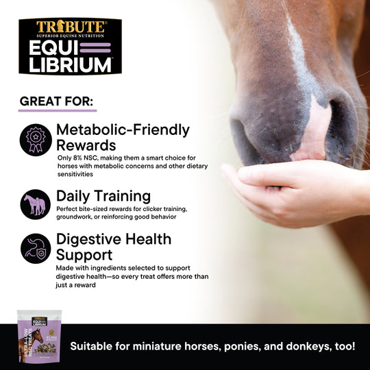 Equi-Librium™ Treats