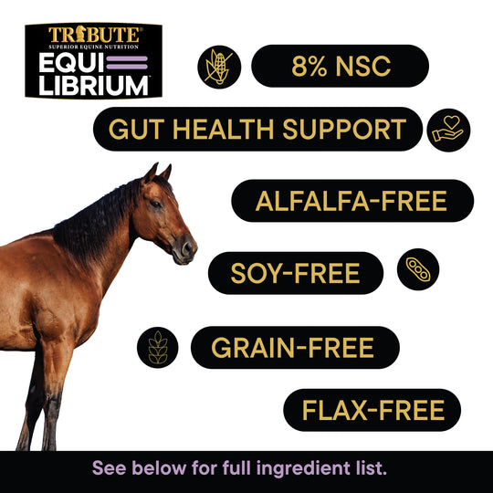 Equi-Librium™ Treats