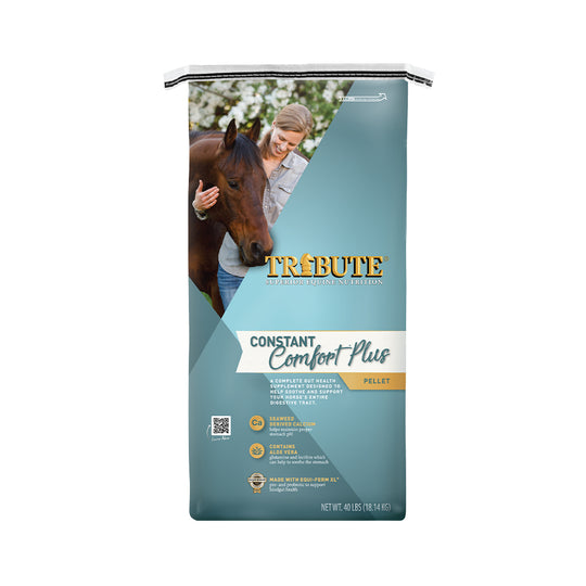 Constant Comfort® Plus