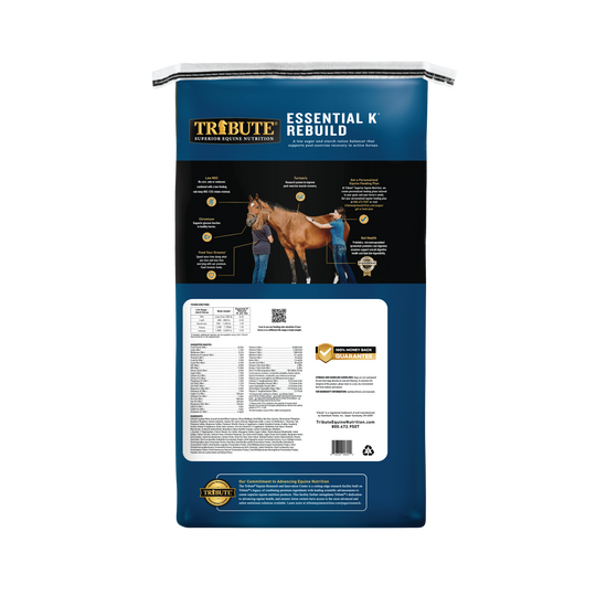 Essential K® Rebuild