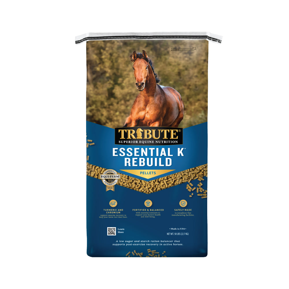 Essential K® Rebuild