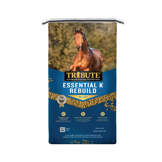 Essential K® Rebuild