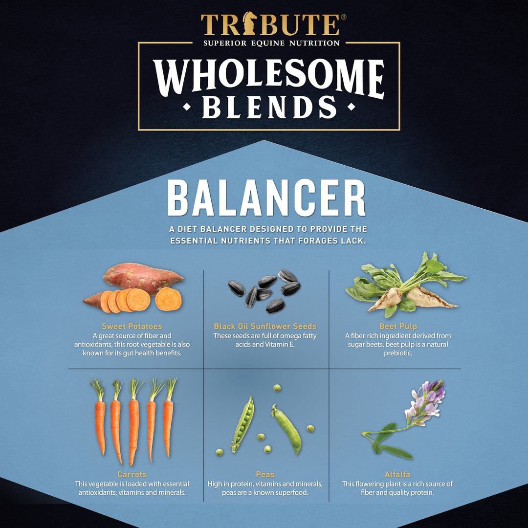 Wholesome Blends® Balancer