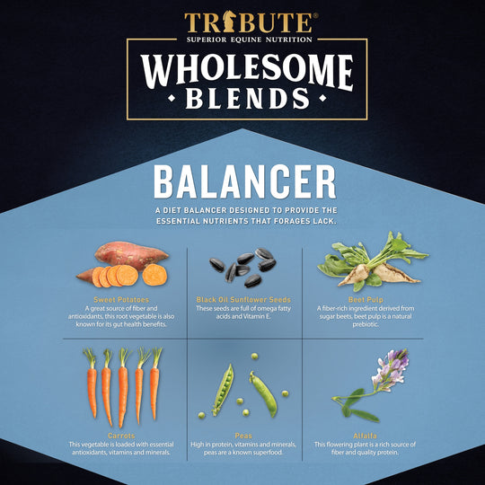 Wholesome Blends® Balancer