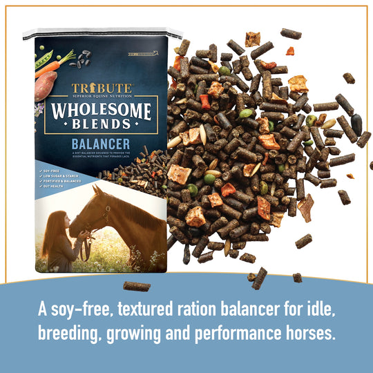 Wholesome Blends® Balancer