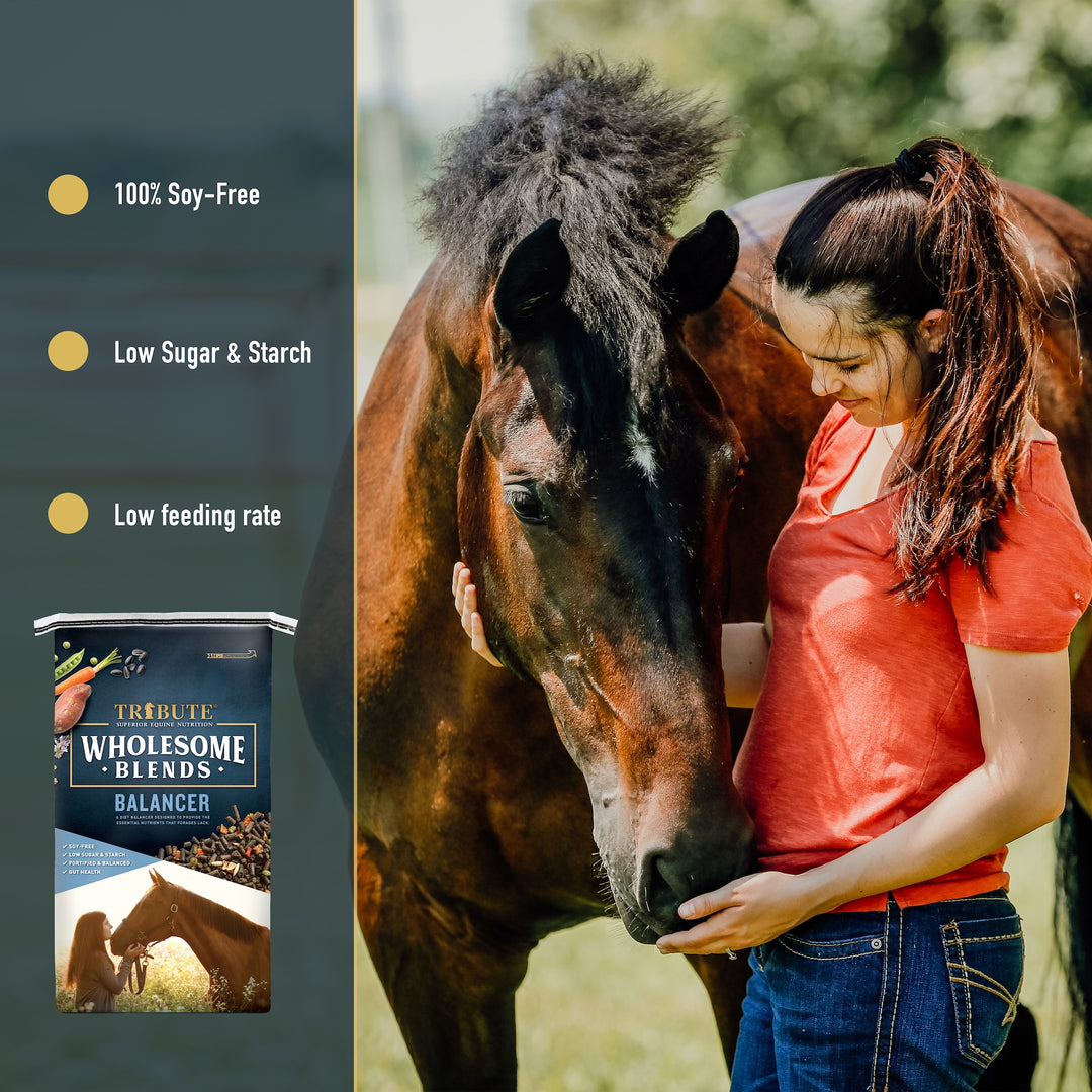 Wholesome Blends® Balancer