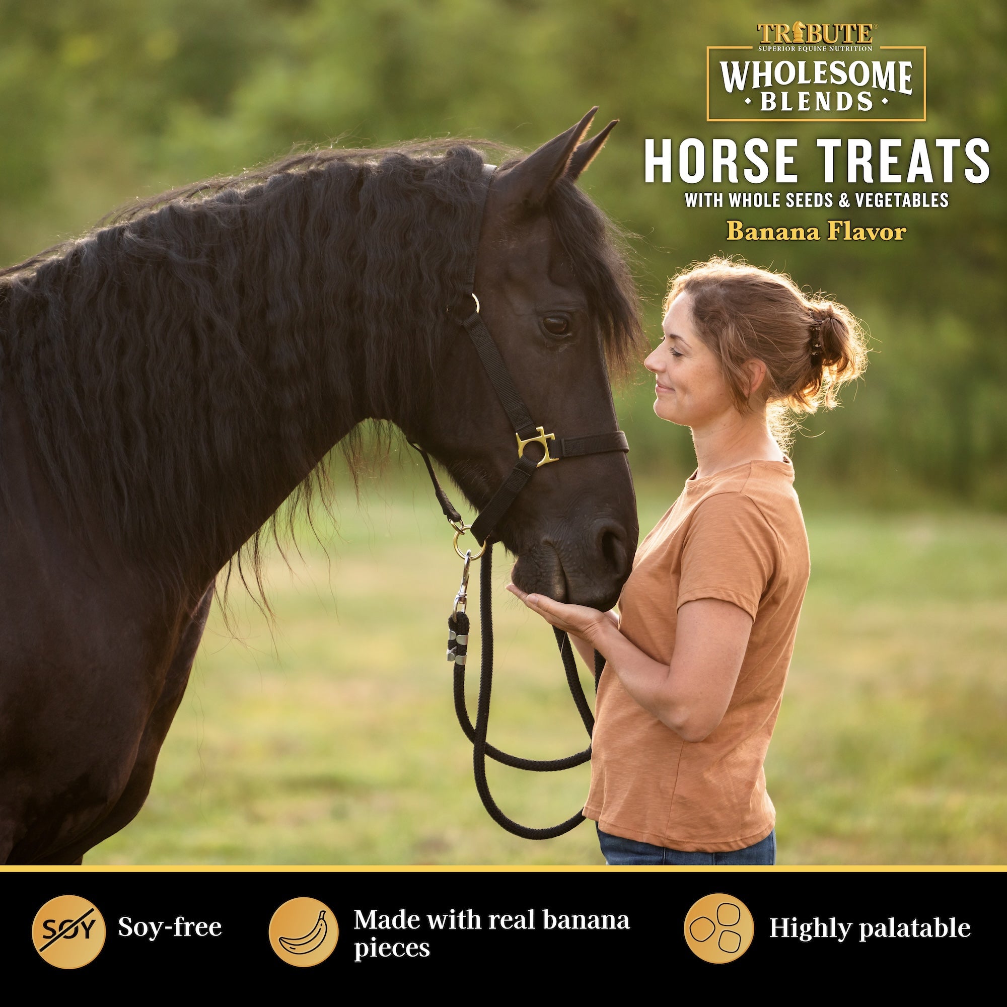 Banana Wholesome Blends® Horse Treats – Kalmbach Feeds®