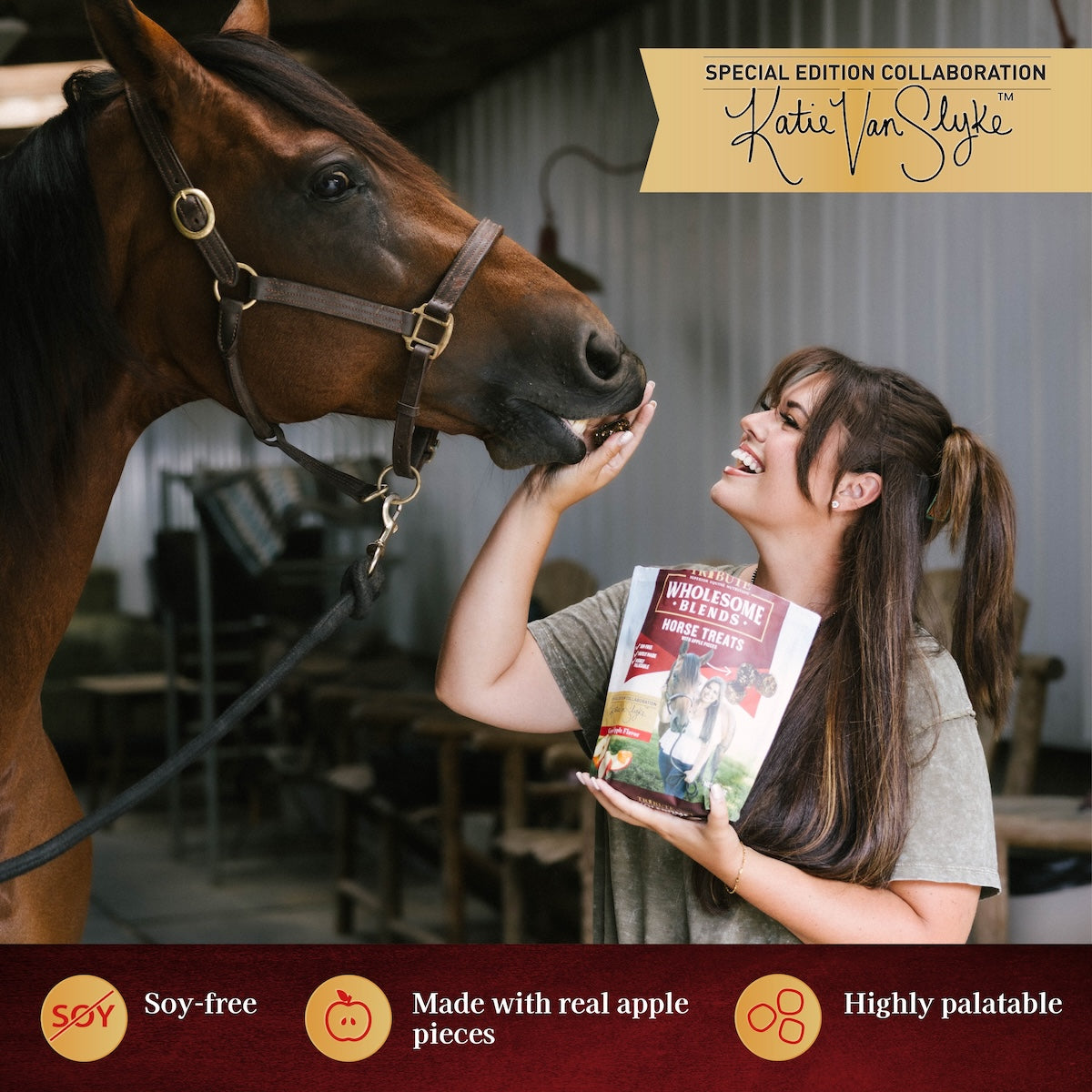 Katie Van Slyke Wholesome Blends® Horse Treats – Kalmbach Feeds®