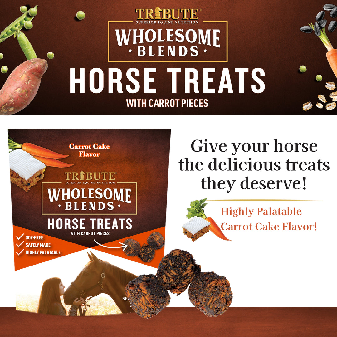 Carrot Cake Wholesome Blends® Horse Treats