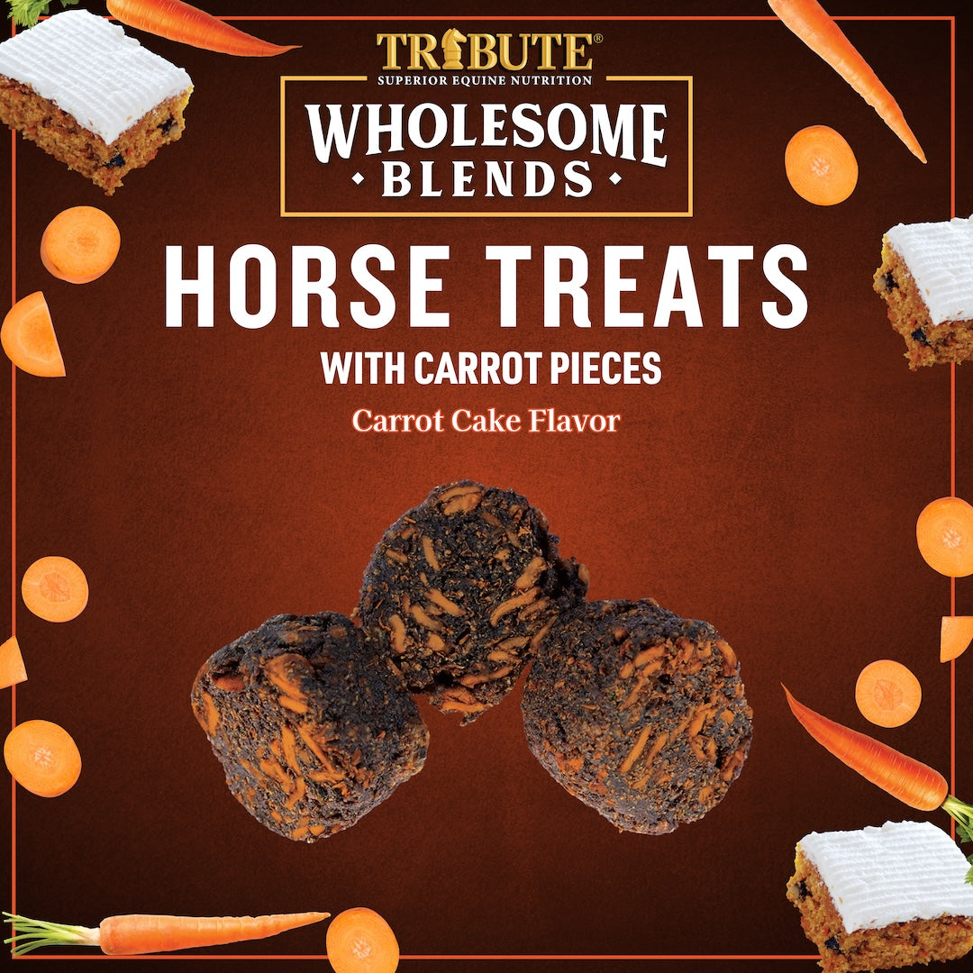 Carrot Cake Wholesome Blends® Horse Treats