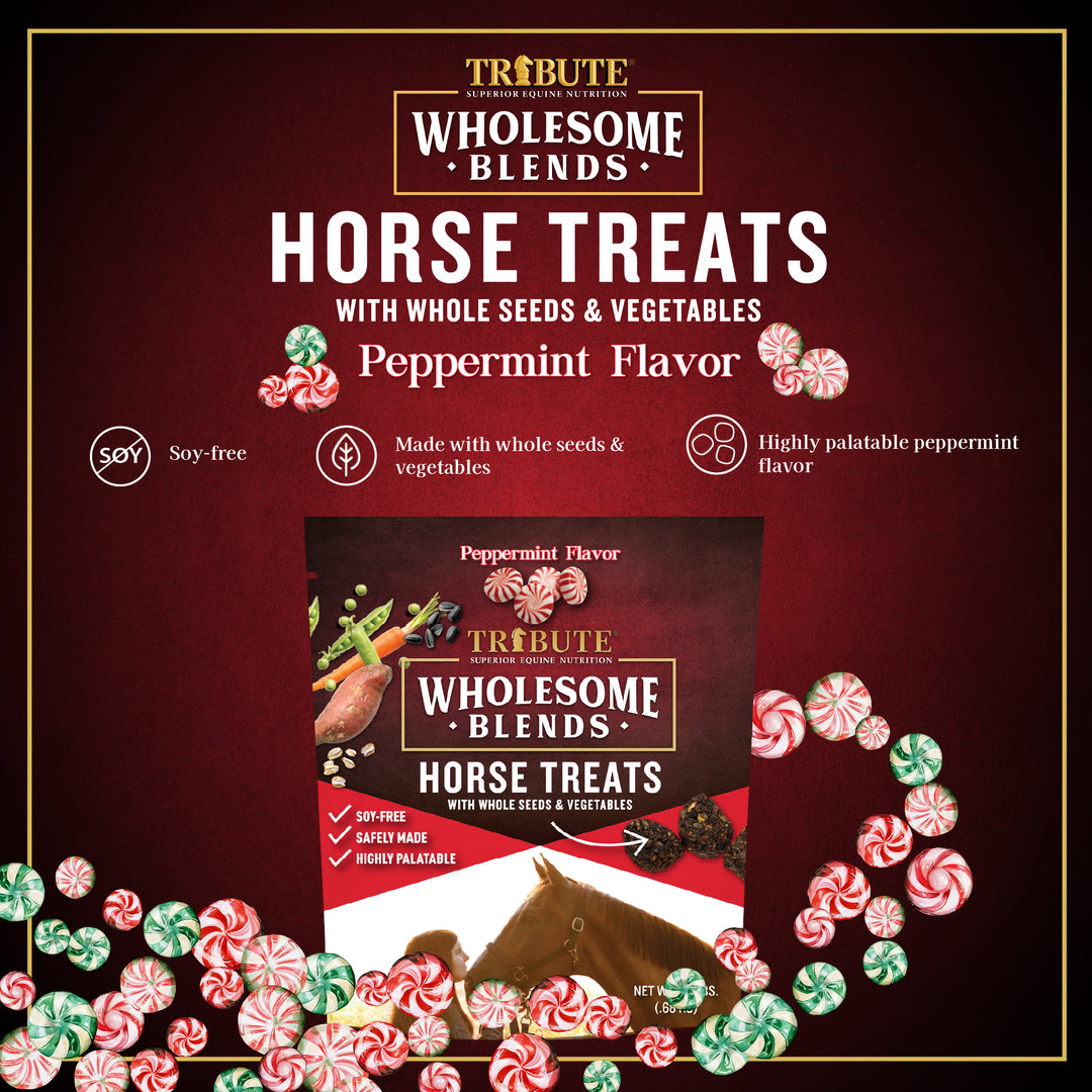 Peppermint Wholesome Blends® Horse Treats