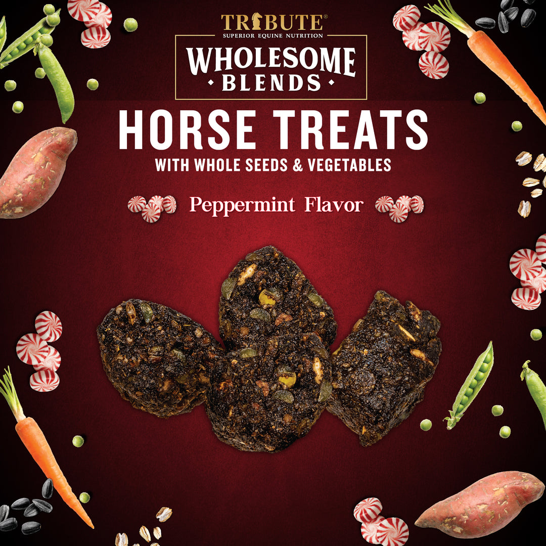 Peppermint Wholesome Blends® Horse Treats