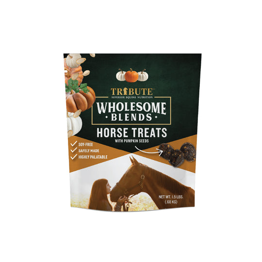 Pumpkin Wholesome Blends® Horse Treats