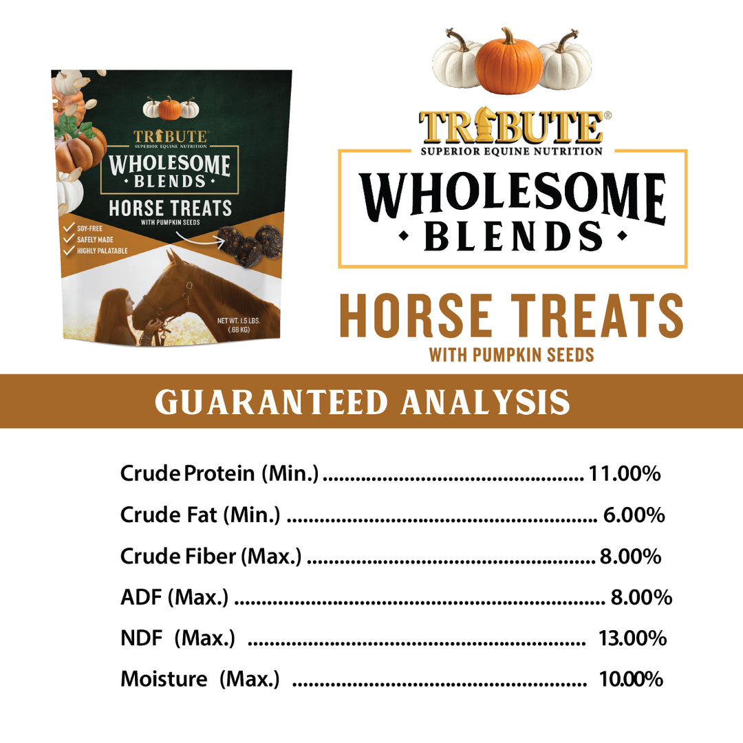 Pumpkin Wholesome Blends® Horse Treats