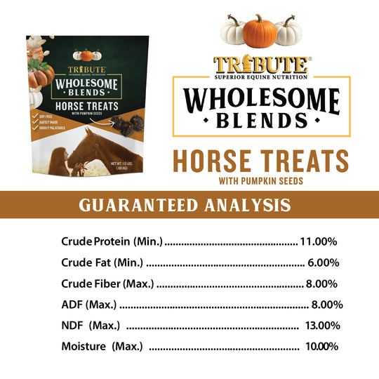 Pumpkin Wholesome Blends® Horse Treats