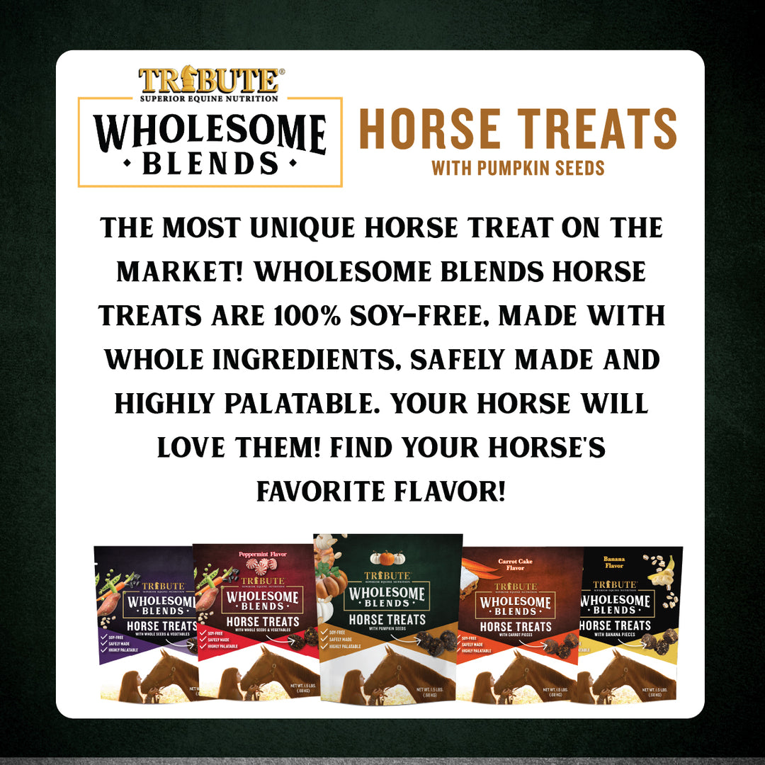 Pumpkin Wholesome Blends® Horse Treats