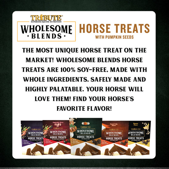Pumpkin Wholesome Blends® Horse Treats