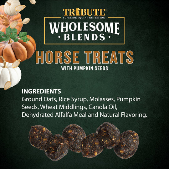 Pumpkin Wholesome Blends® Horse Treats