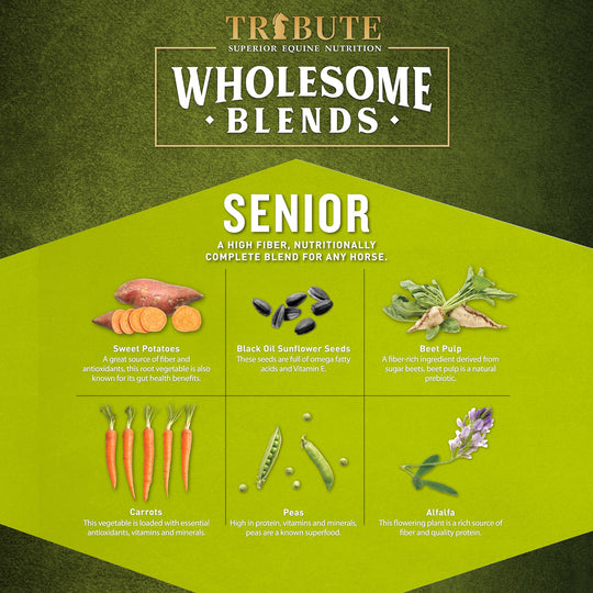 Wholesome Blends® Senior