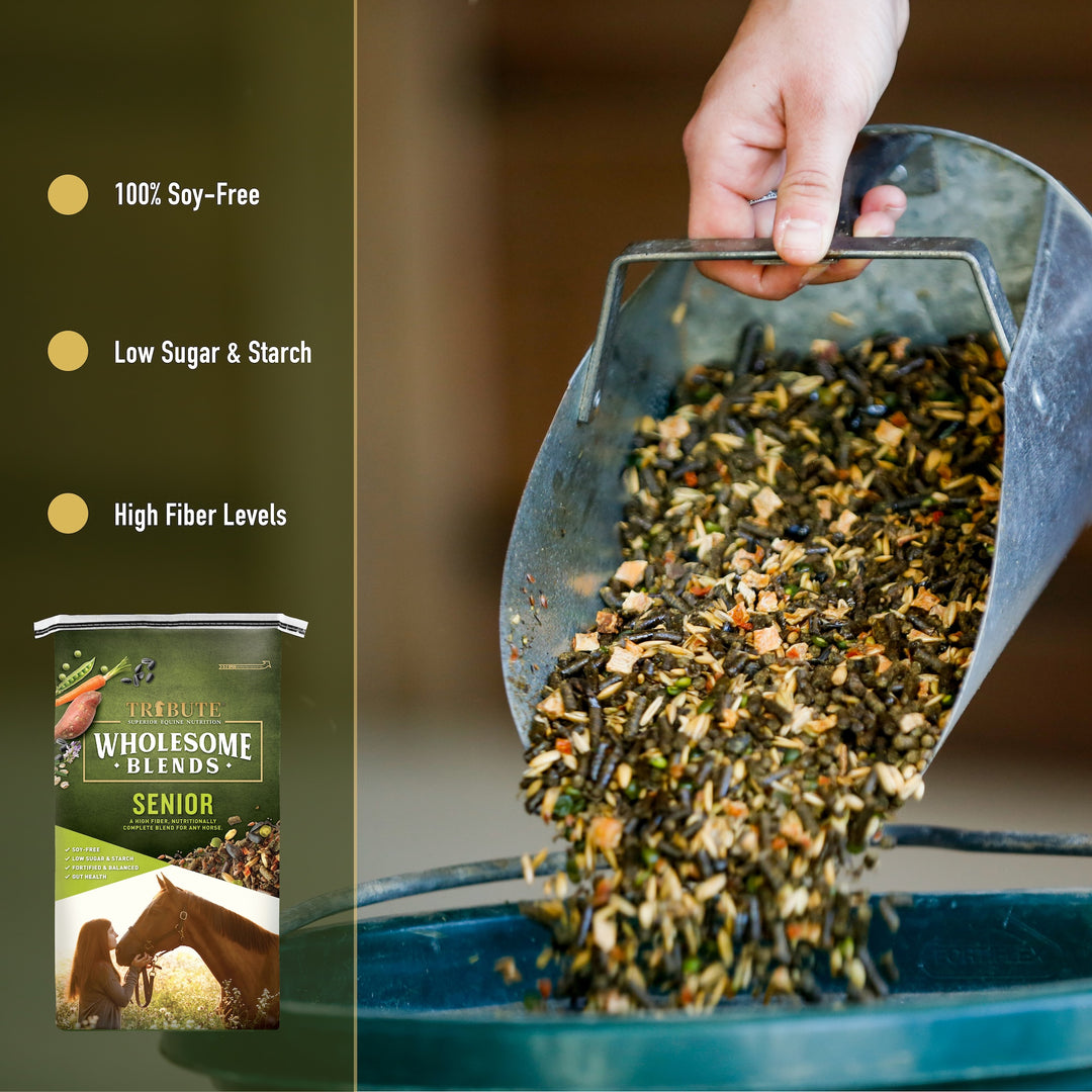 Wholesome Blends® Senior