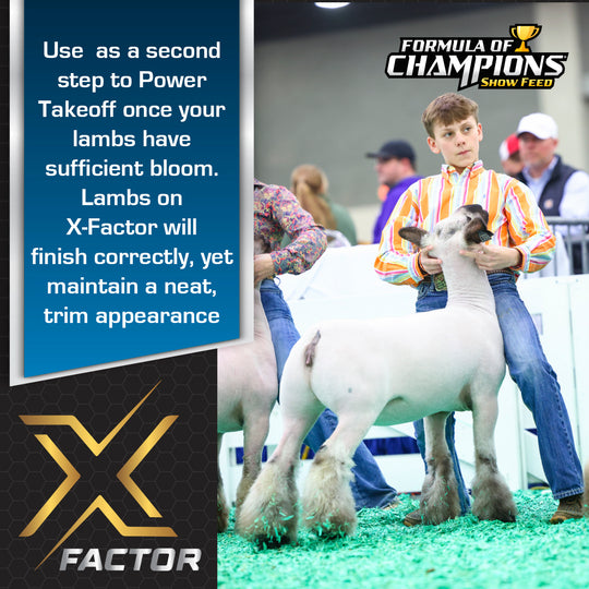 X-Factor