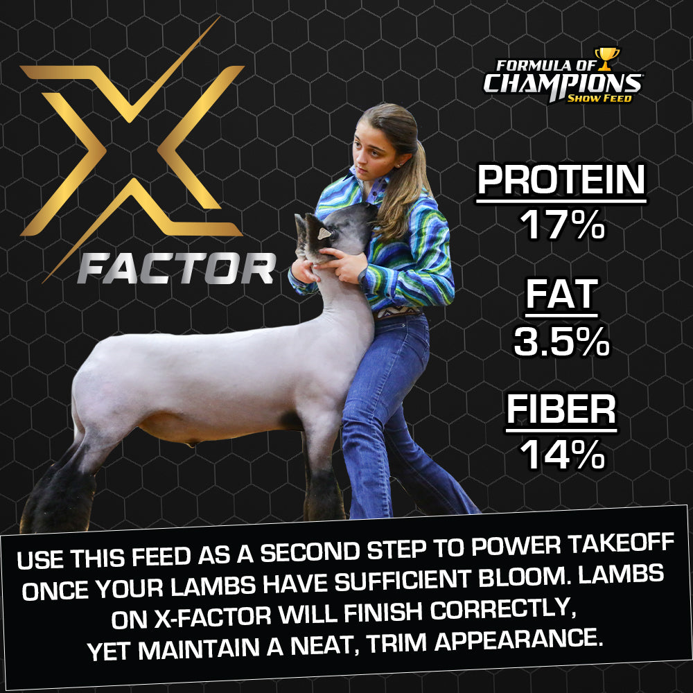 X-Factor