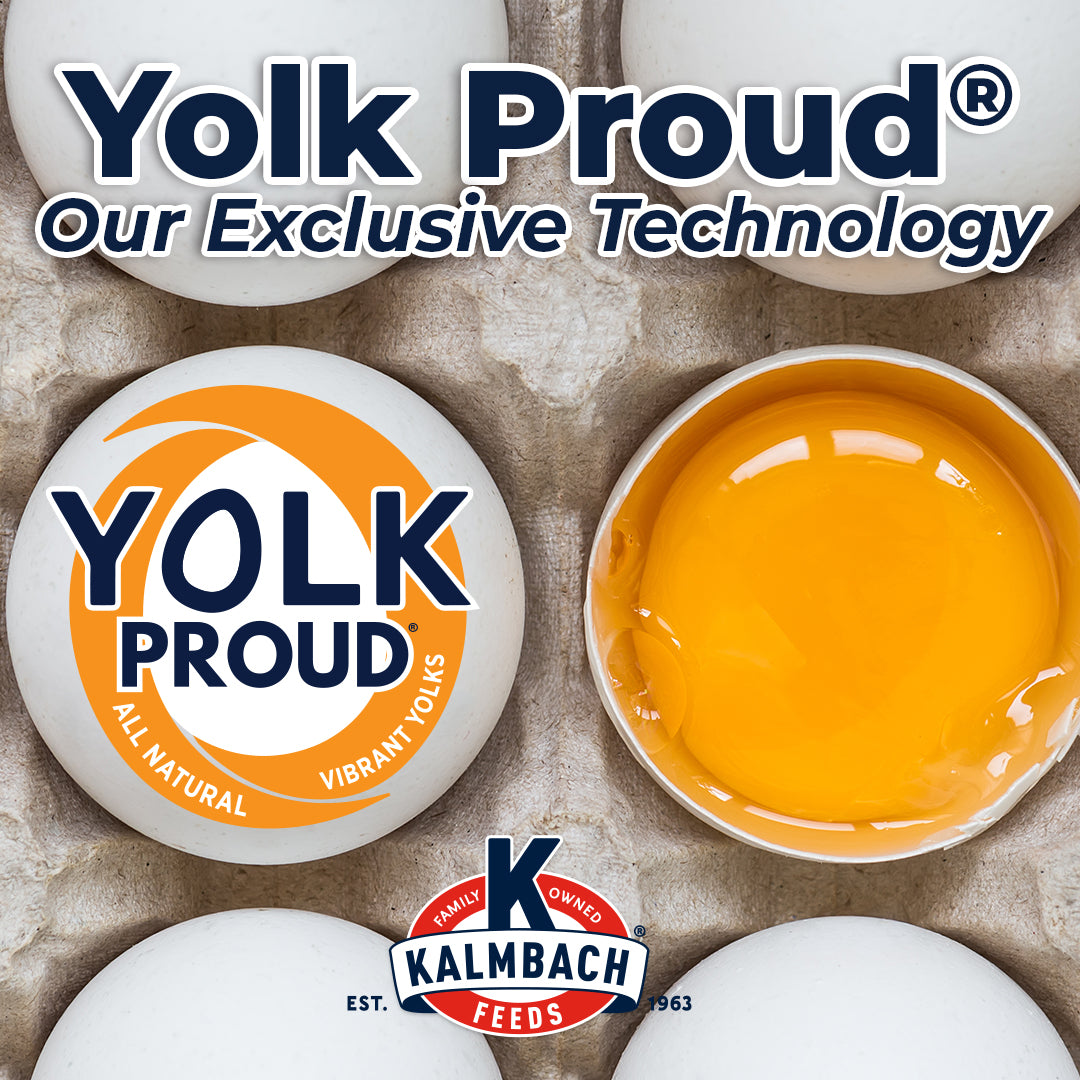 Henhouse Reserve Love Bug™ for Chickens and Poultry