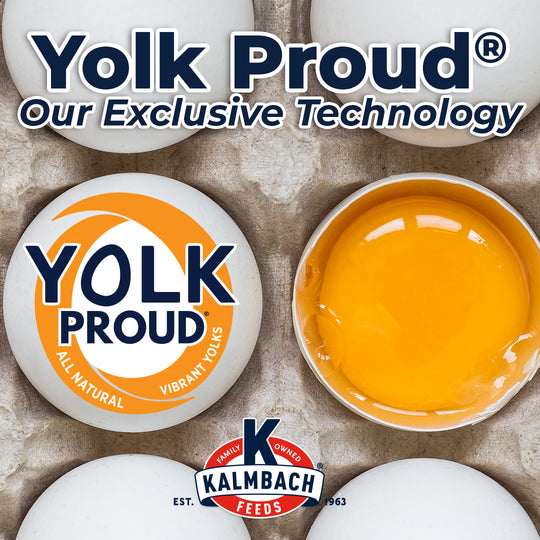 Henhouse Reserve Love Bug™ for Chickens and Poultry