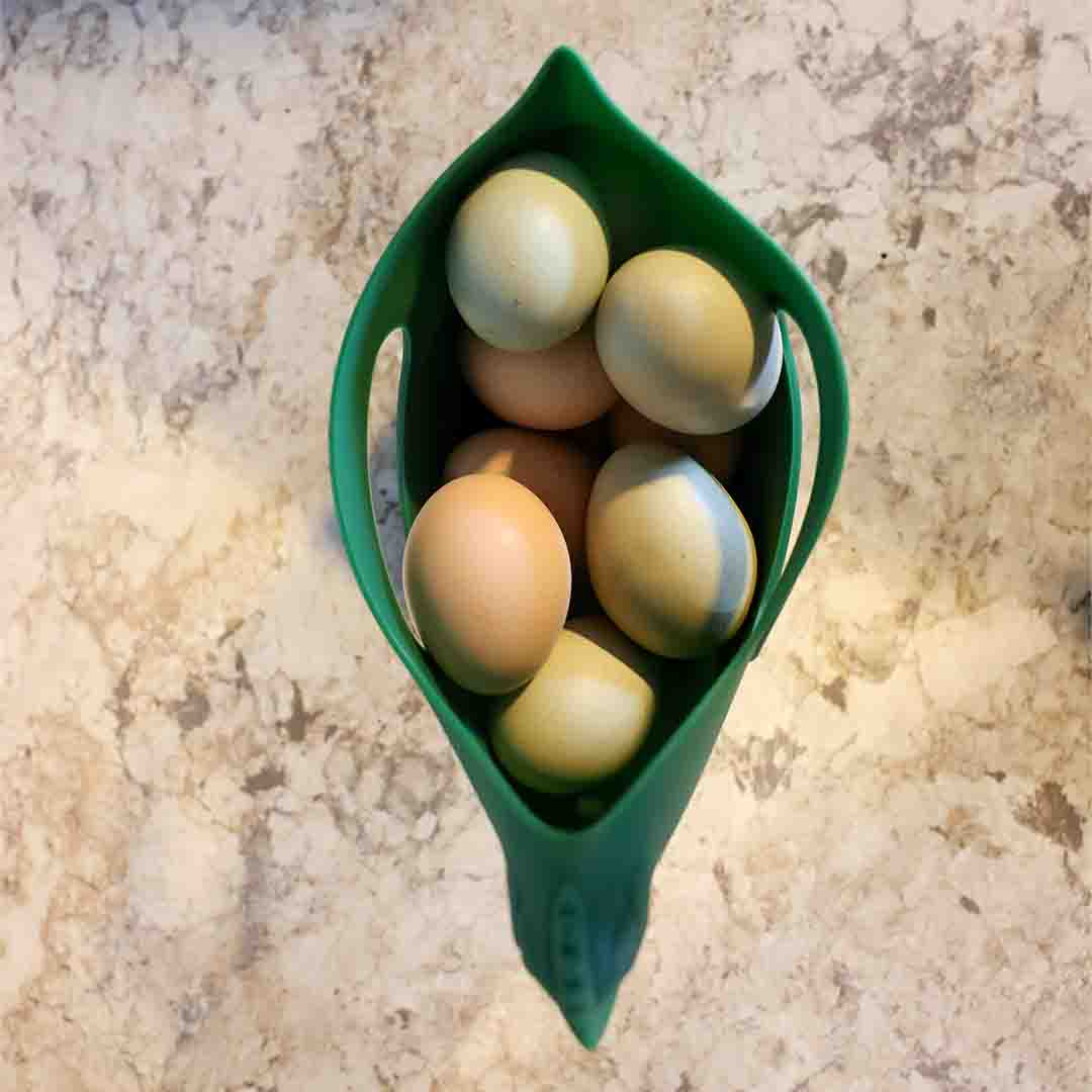 Henhouse Handbag Bantam