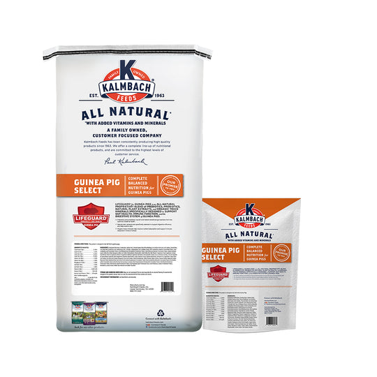 guinea pig select feed bag