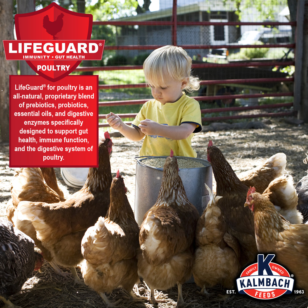 Hi Omegga® Layer (Crumble)