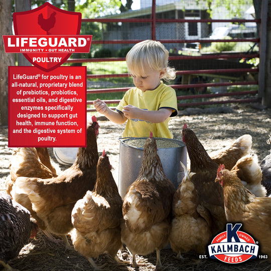 Hi Omegga® Layer (Crumble)