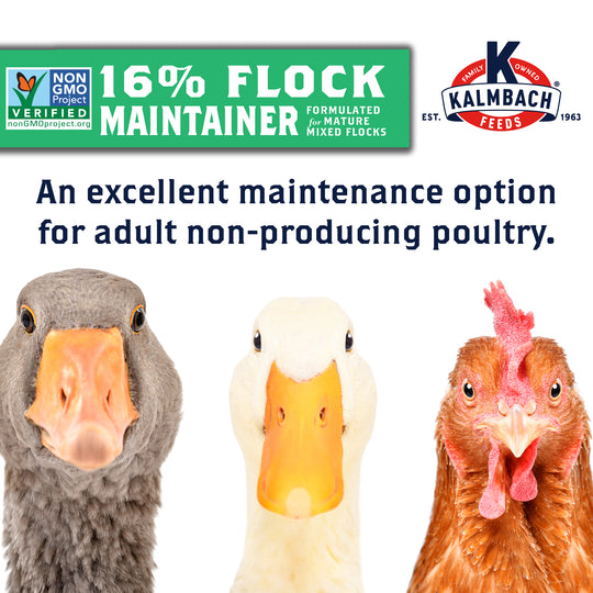 16% Flock Maintainer® (Non-GMO Pellet)