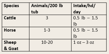 {"loading" => "lazy", "alt" => nil}