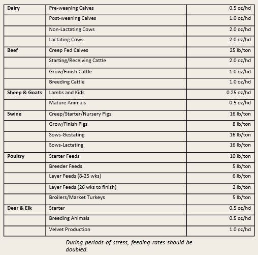 {"loading"=>"lazy", "alt"=>nil}