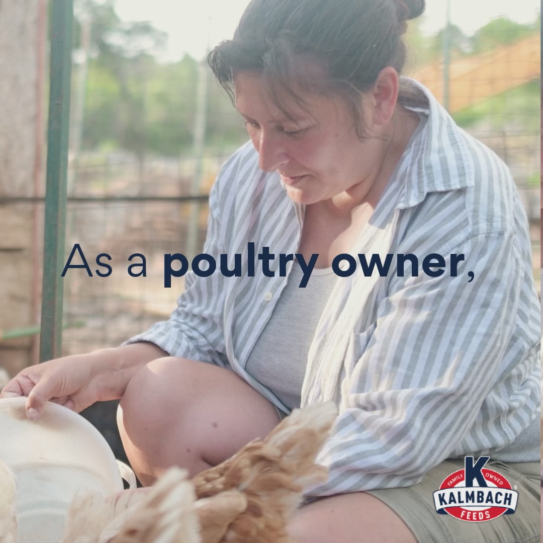 Oregano Oil Supplement for Poultry