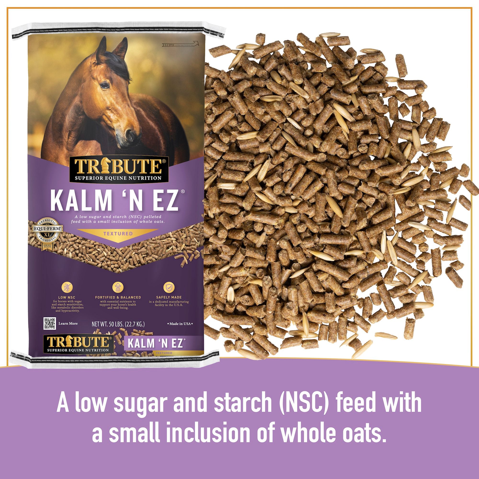 Discount whole food horse feed Flash Sales Whole Food for Horses Book |  cambridgeheights.in