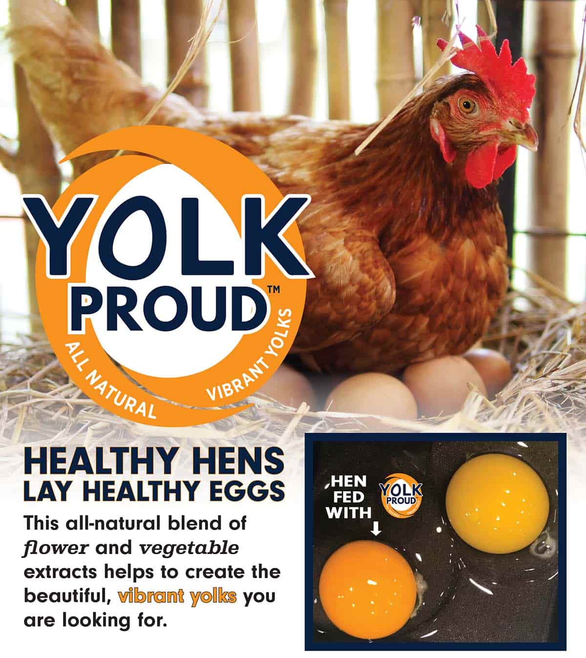 Premium Poultry Block – Kalmbach Feeds®